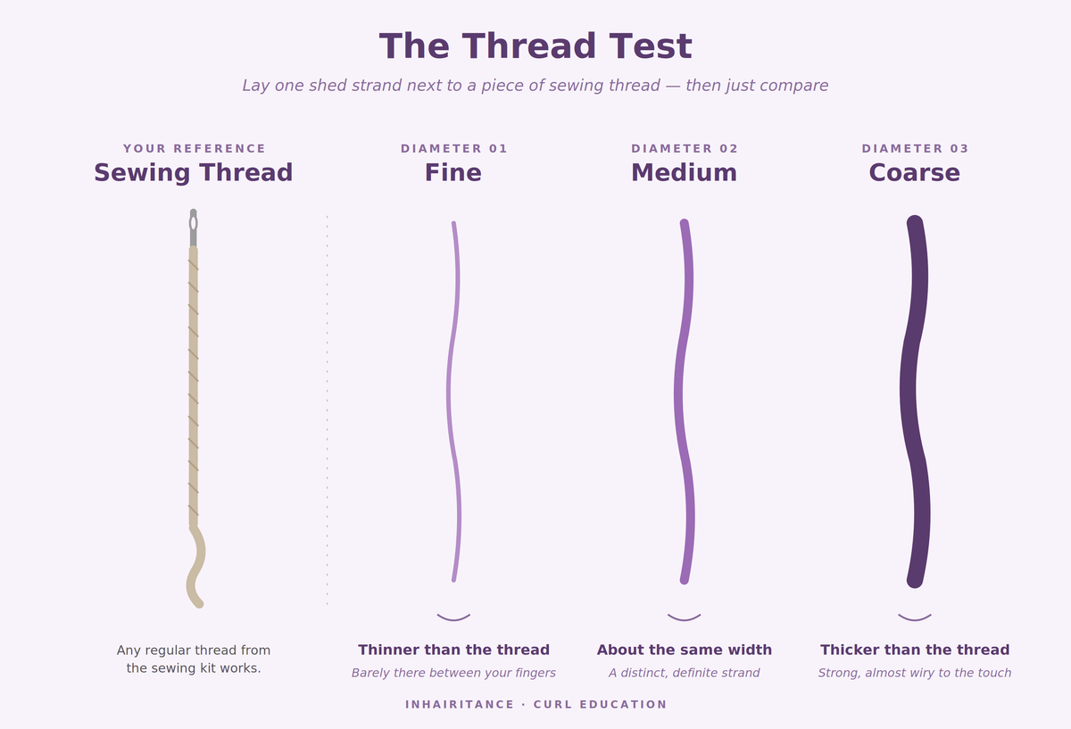 Fine, Medium, or Coarse? What Strand Diameter Is — and How to Know Yours - Inhairitance Curl Spa